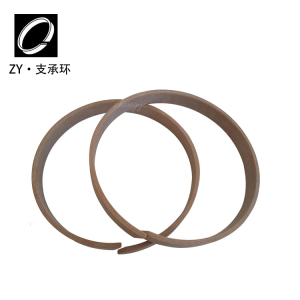 支承環